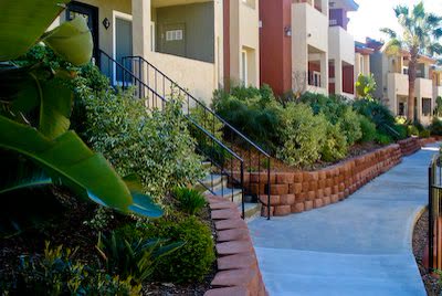 Upgraded planter area