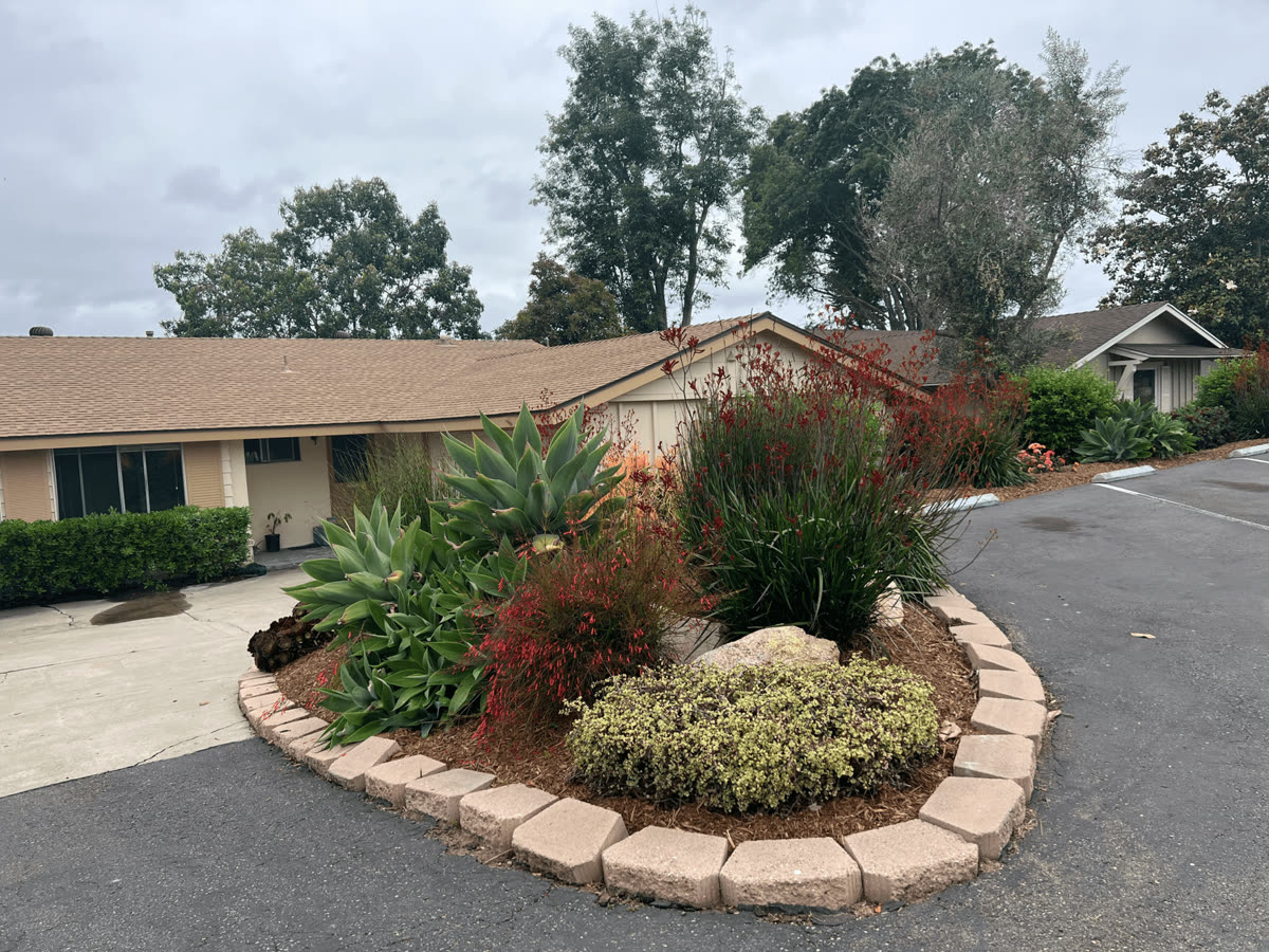 After: a curved block-edged planter with mulch, succulents and flowering plants beside the entrance