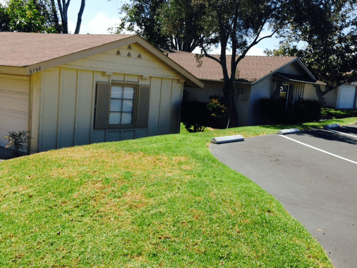 Before: grass beside a parking area and building entrance