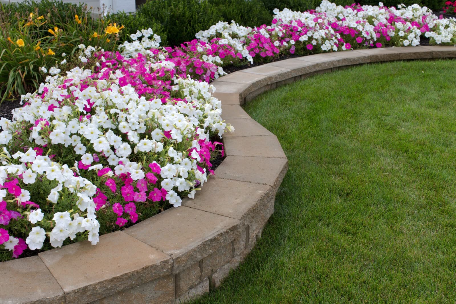 Landscape Enhancement