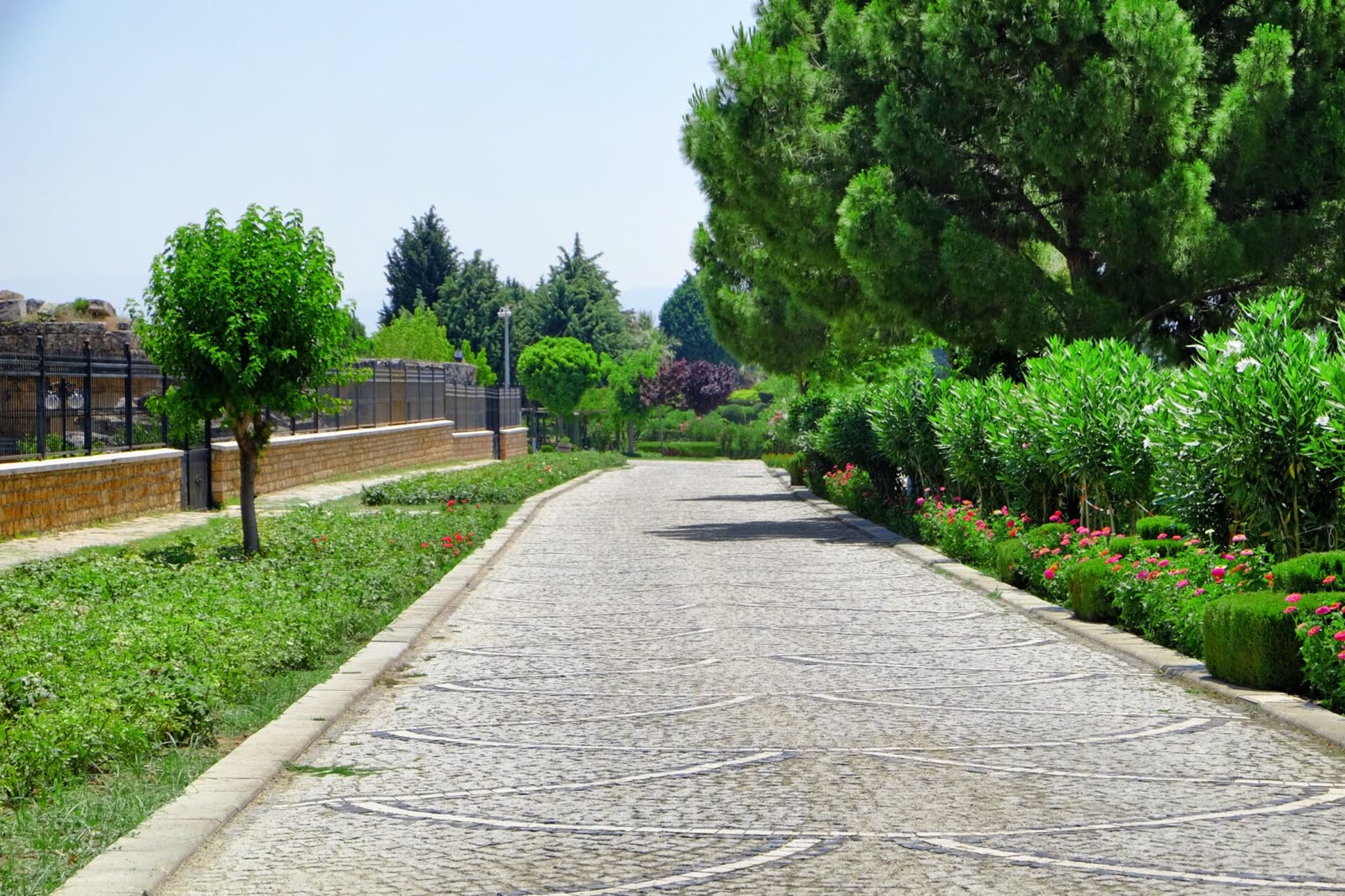 Landscape Renovation