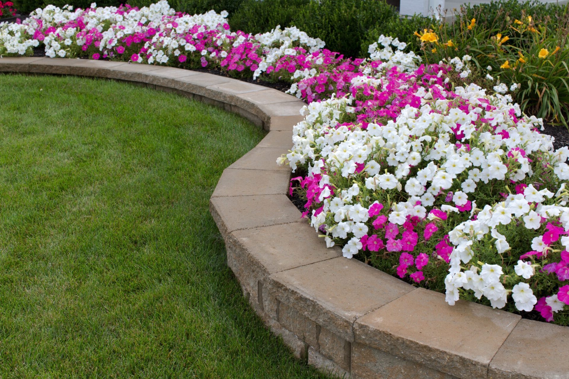 flower bed along with the grass